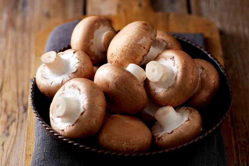 mushrooms organic